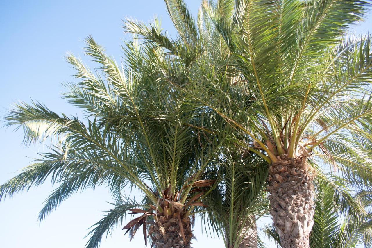Rafaello Apartment ,,La Zona Cabo Roig, Area Cabo Roig" Orihuela Ngoại thất bức ảnh